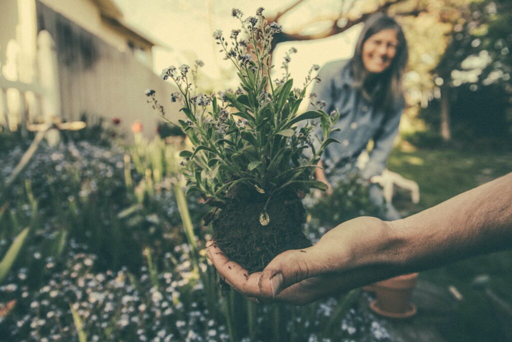 A close up of a hand holding an unpotted plant, there's an out of focus woman in the background smiling.