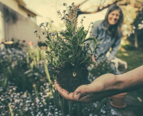 Handing holding garden plant with smiling woman in the background
